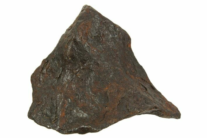 Canyon Diablo Iron Meteorite ( g) - Arizona #335993